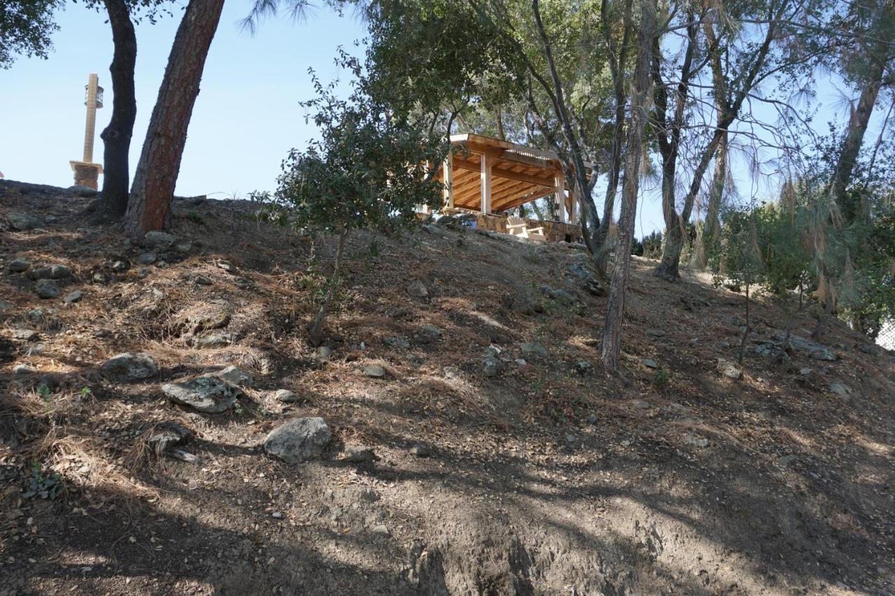 Yosemite Gold Country Lodge Coulterville Exteriör bild